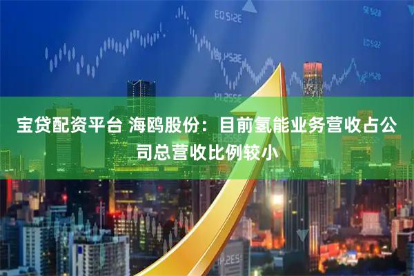 宝贷配资平台 海鸥股份：目前氢能业务营收占公司总营收比例较小